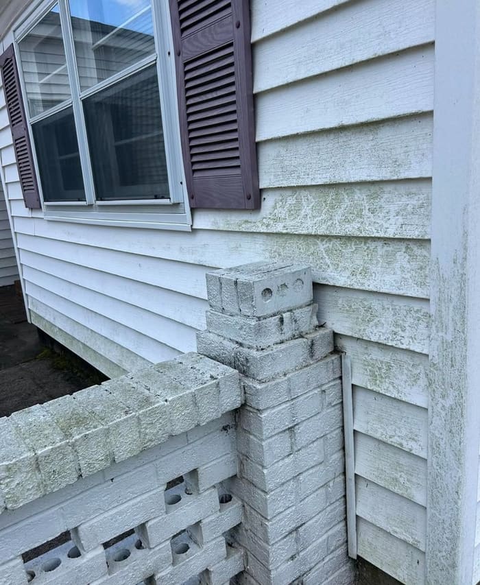 Home exterior with algae and dirt before house washing in Athens, GA